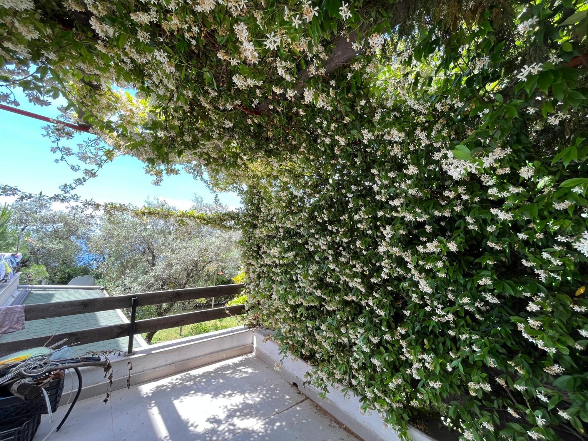 The Olives Terrace Residences Dhërmi Extérieur photo